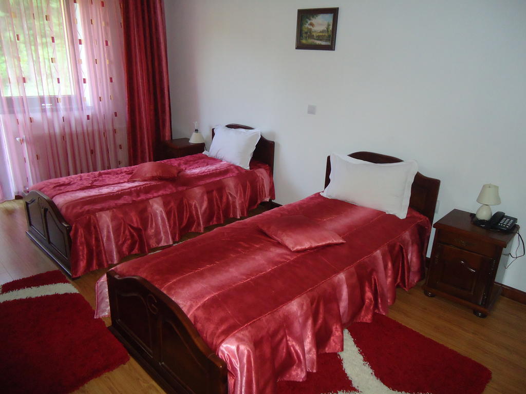 Pensiunea Geona Poiana Teiului Room photo